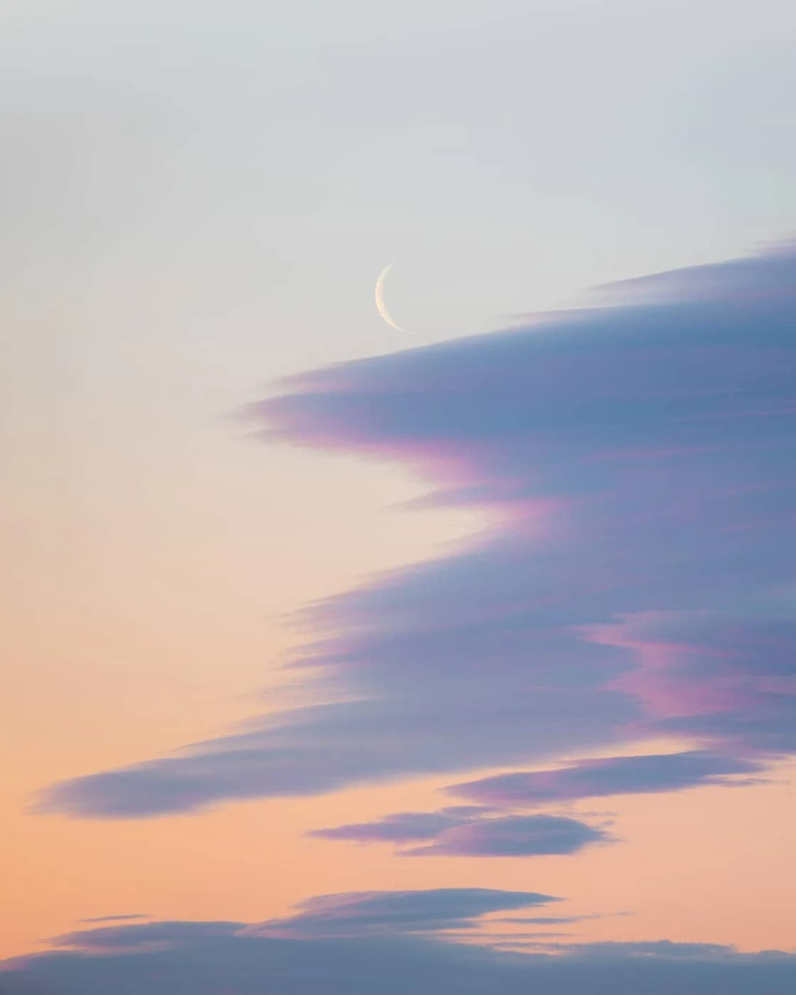 Kourosh Keynejad - Photo 5