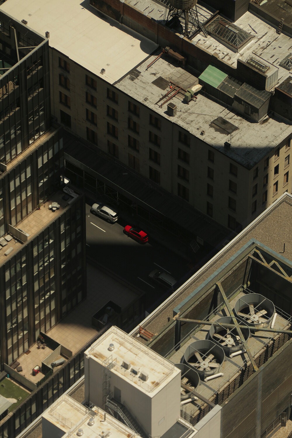 Lakshan Dharmapriya - Photo 5