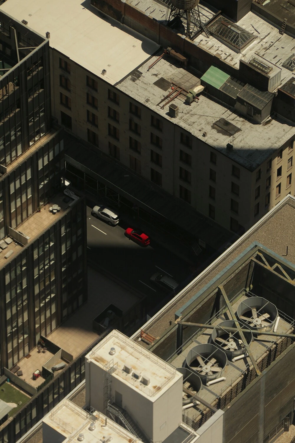 Lakshan Dharmapriya - Photo 5