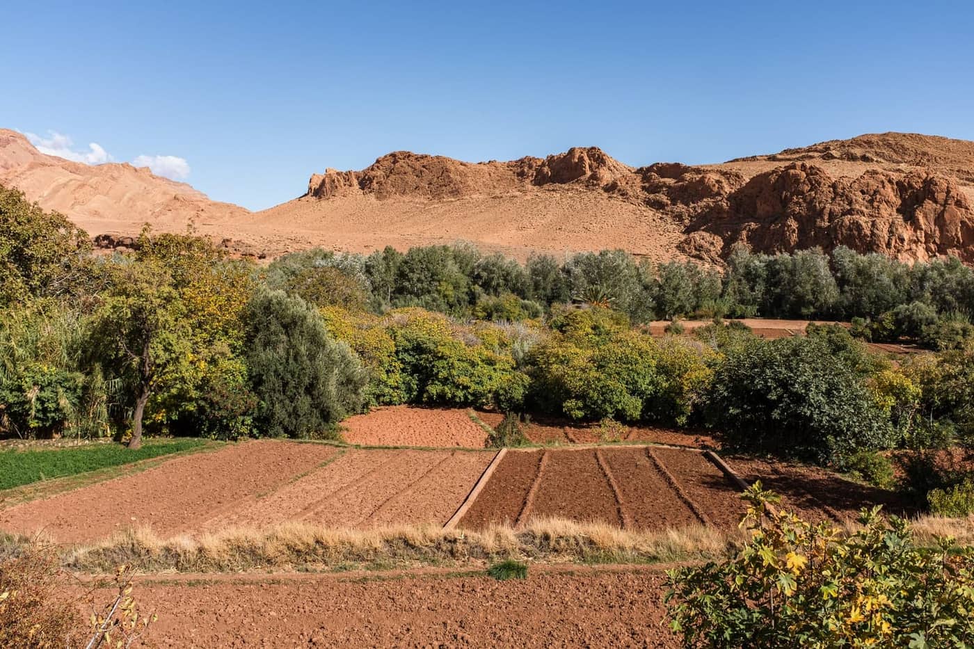 Leslie Heintz - Photo 1