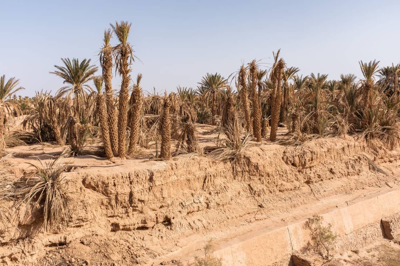 Leslie Heintz - Photo 3