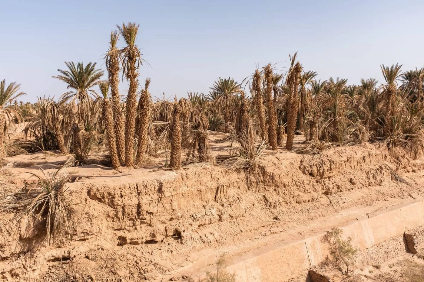 Leslie Heintz - Photo 3