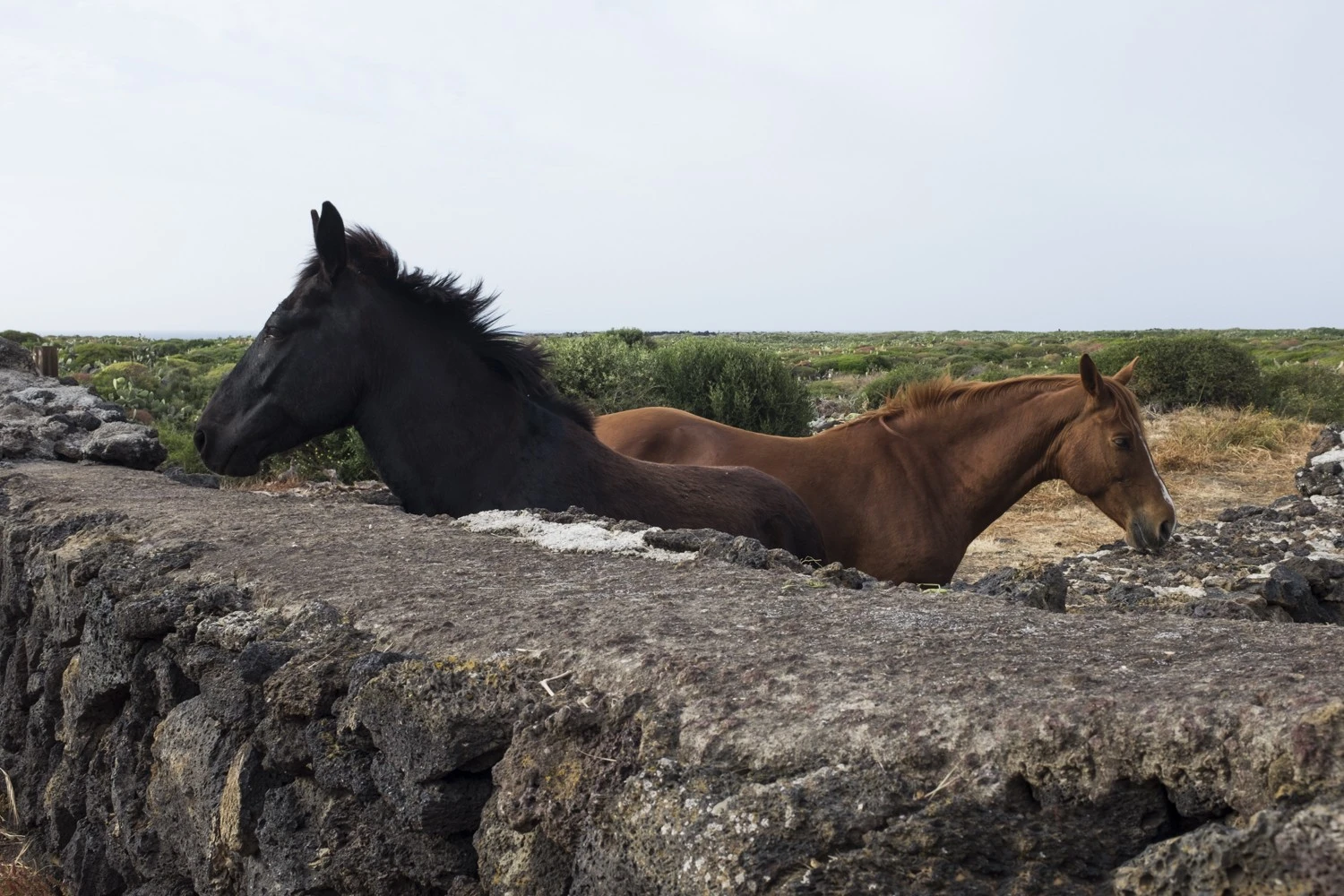 Luana Rigolli - Photo 5