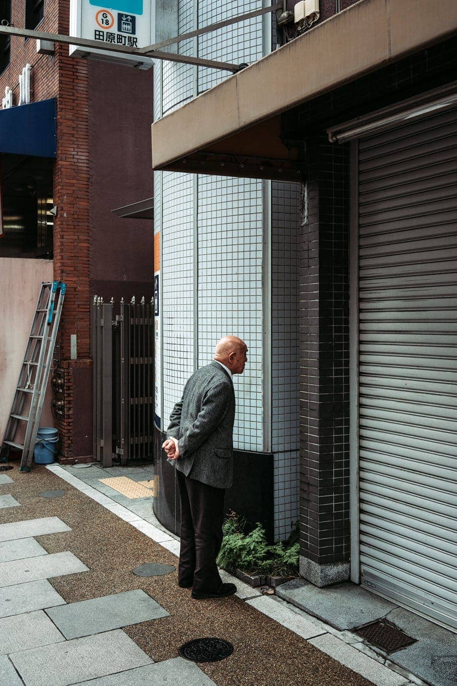 Luís Carvalhal - Photo 1