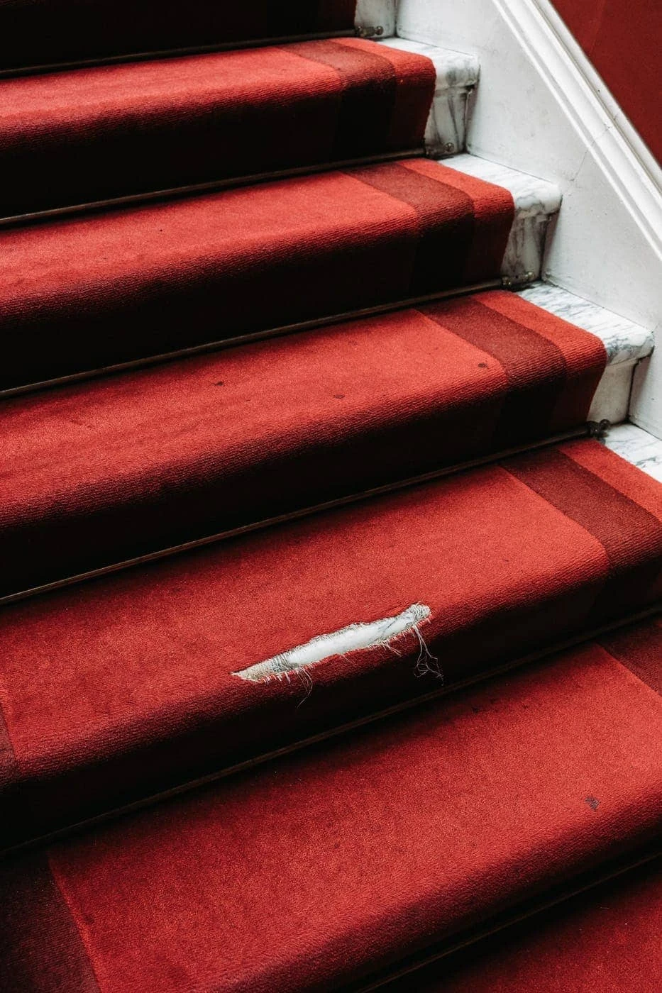 Luís Carvalhal - Photo 2