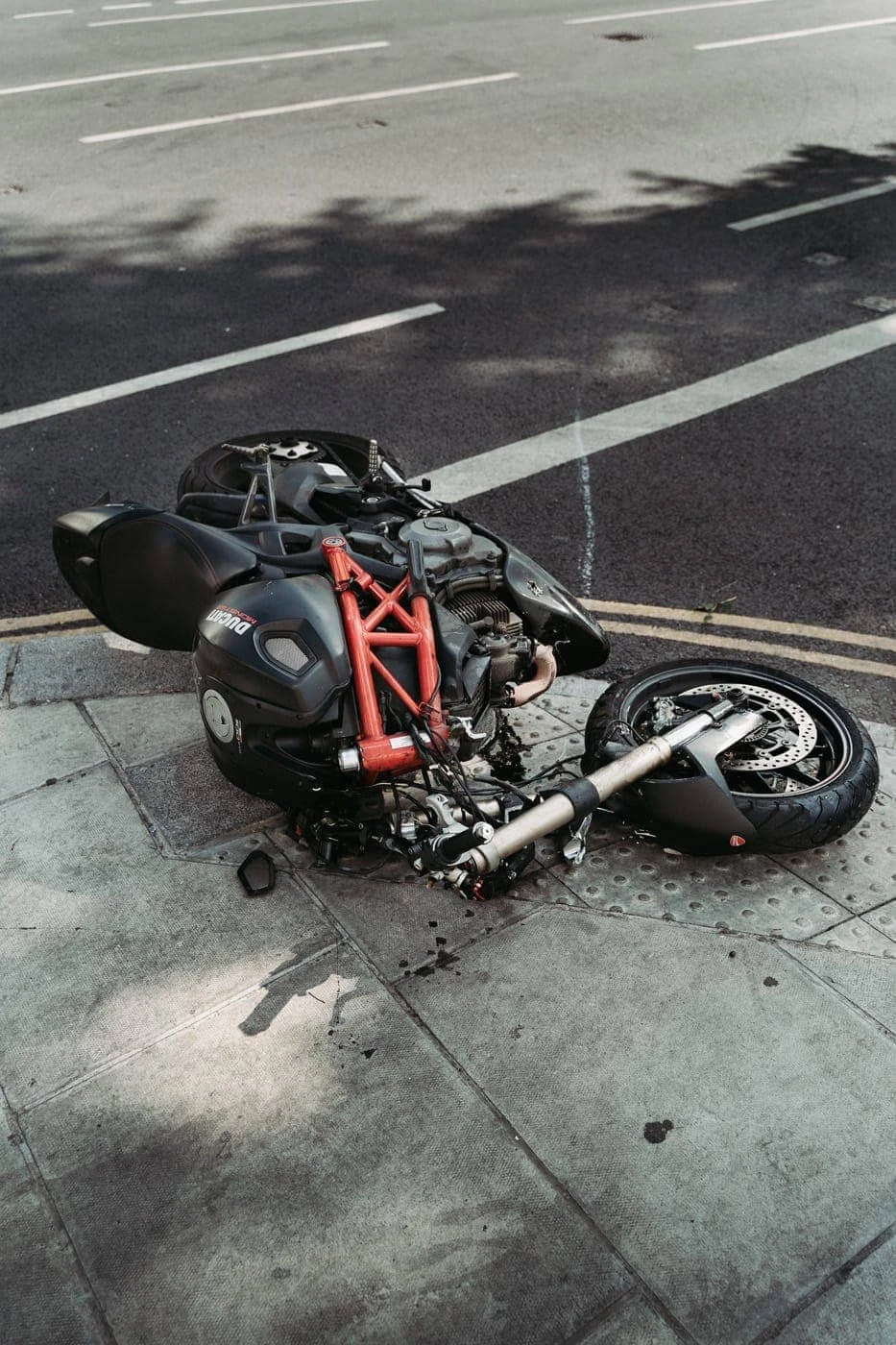 Luís Carvalhal - Photo 3