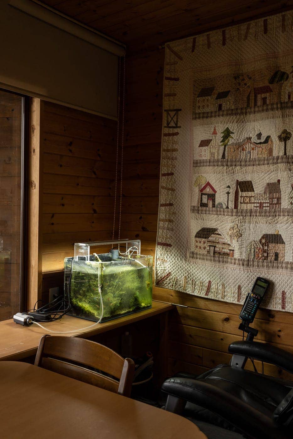 Luís Carvalhal - Photo 4