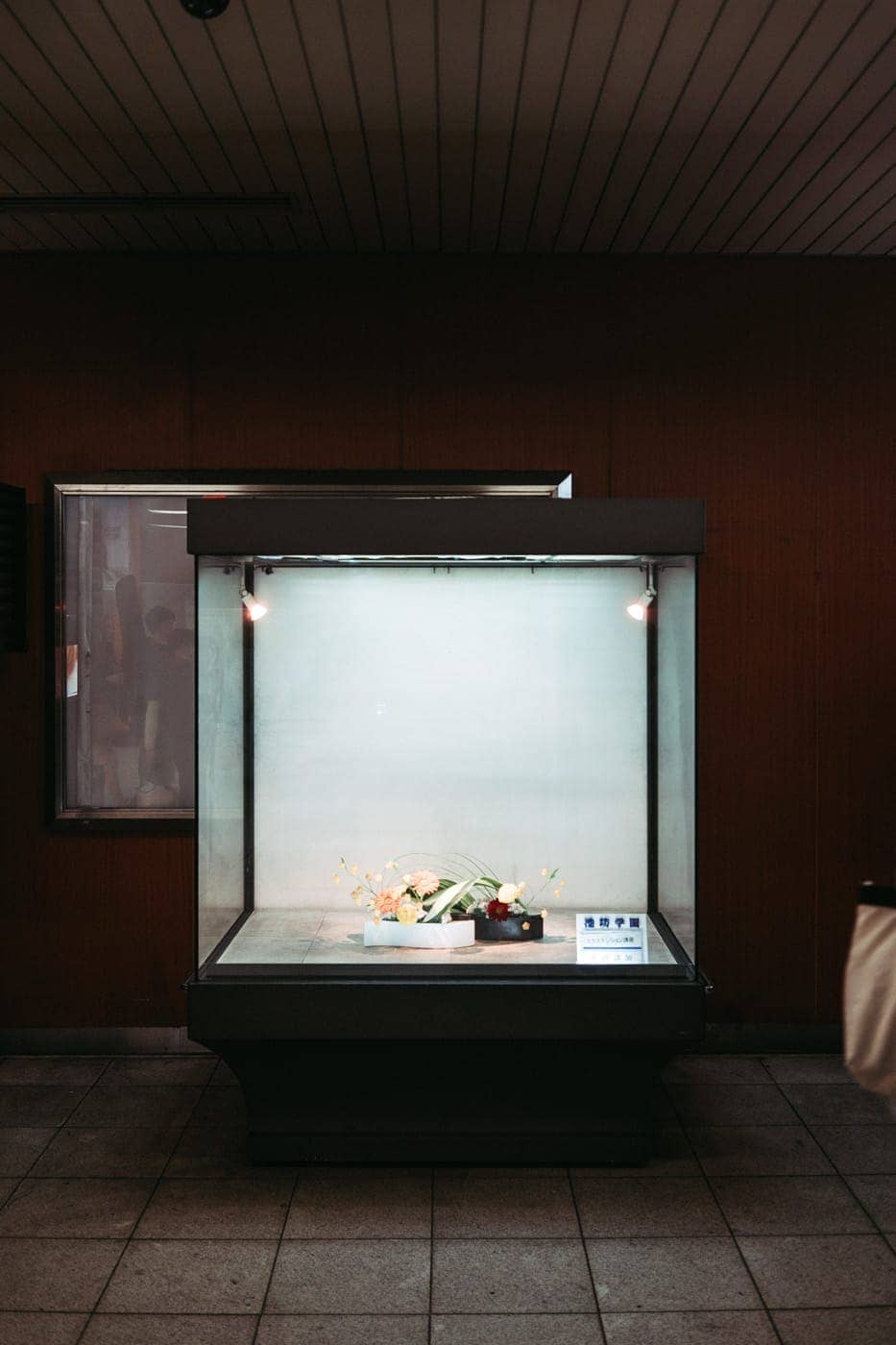 Luís Carvalhal - Photo 5