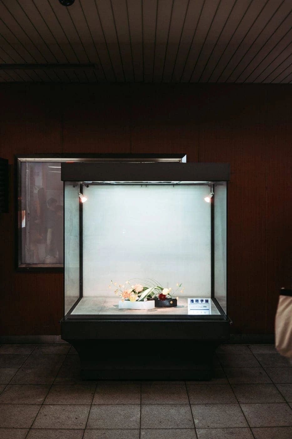 Luís Carvalhal - Photo 5