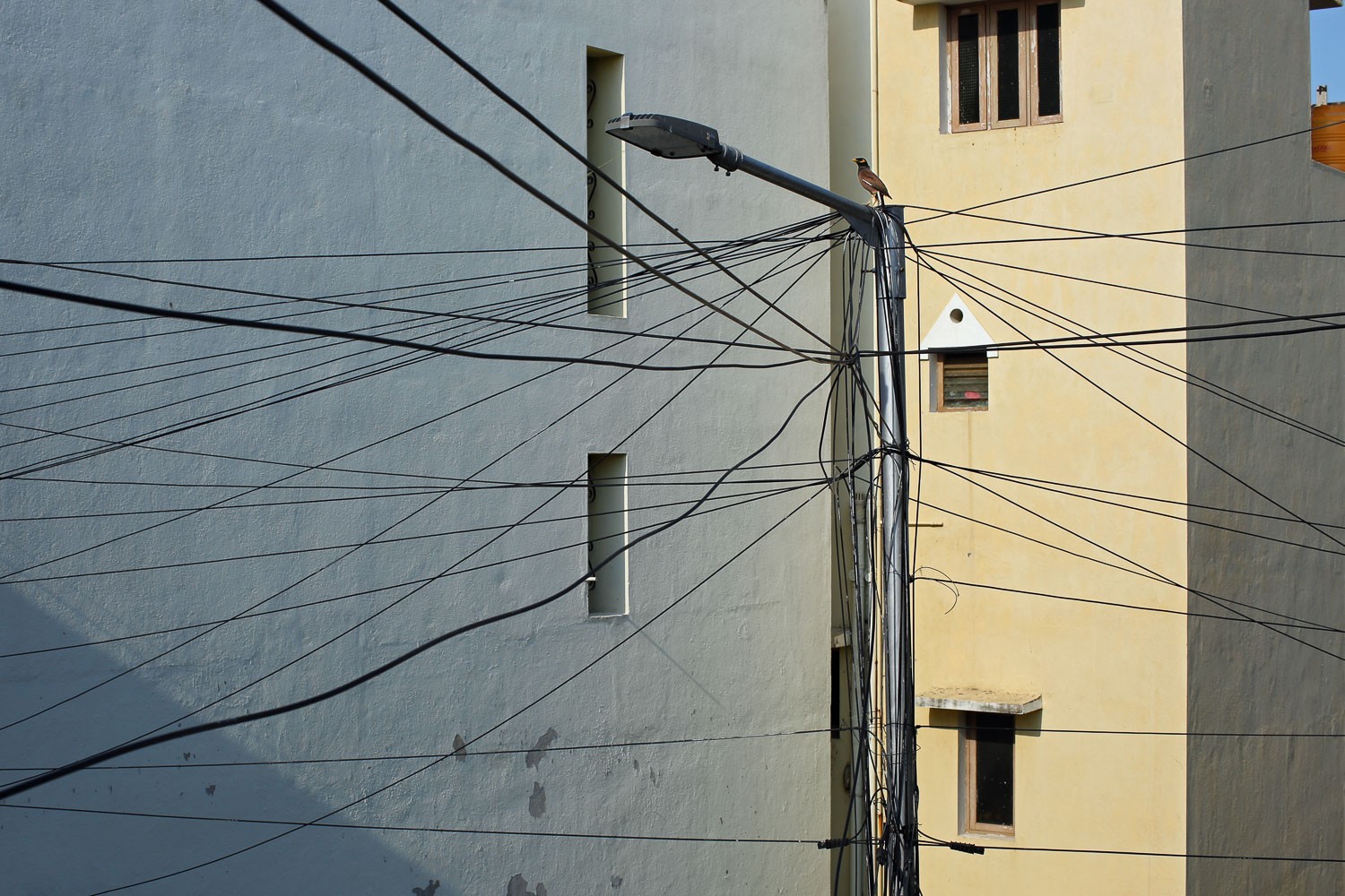 Mahesh Manoharan - Photo 4