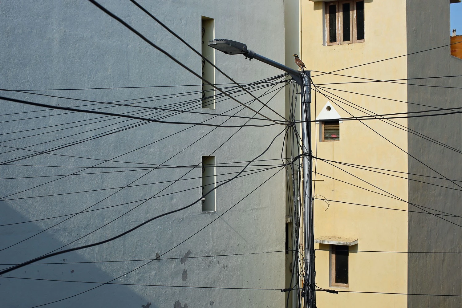 Mahesh Manoharan - Photo 4