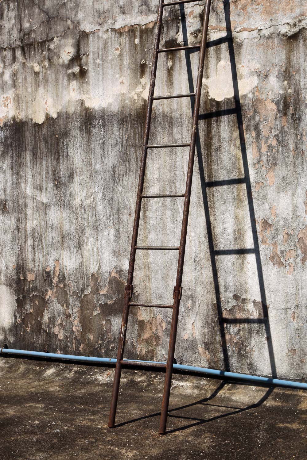 Mahesh Manoharan - Photo 5