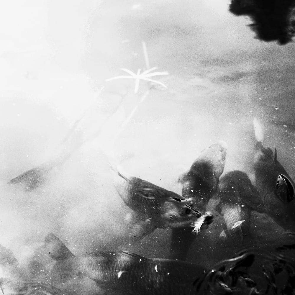 Maksym Romenskyi - Photo 3