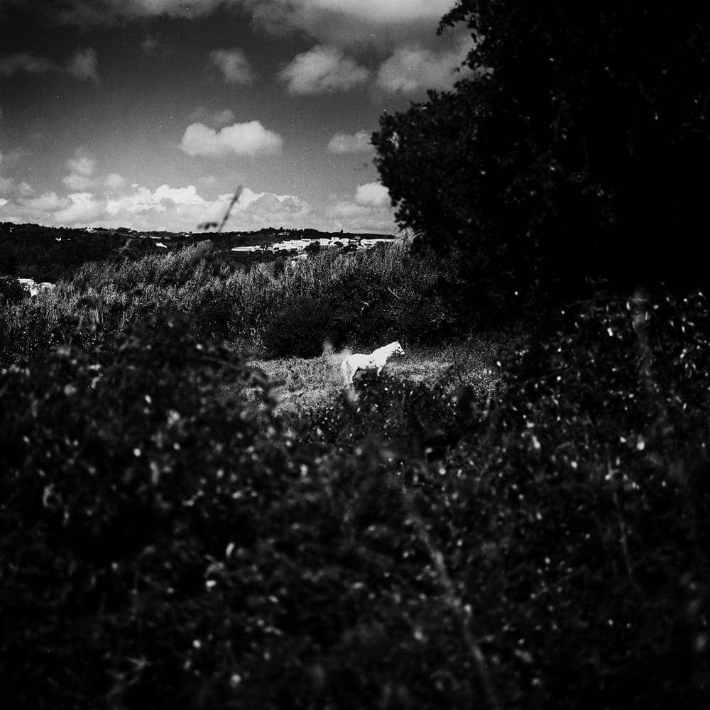 Maksym Romenskyi - Photo 5