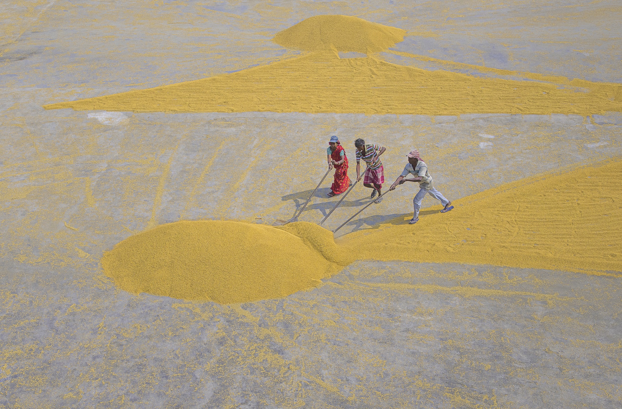 Manab Saha - Photo 1