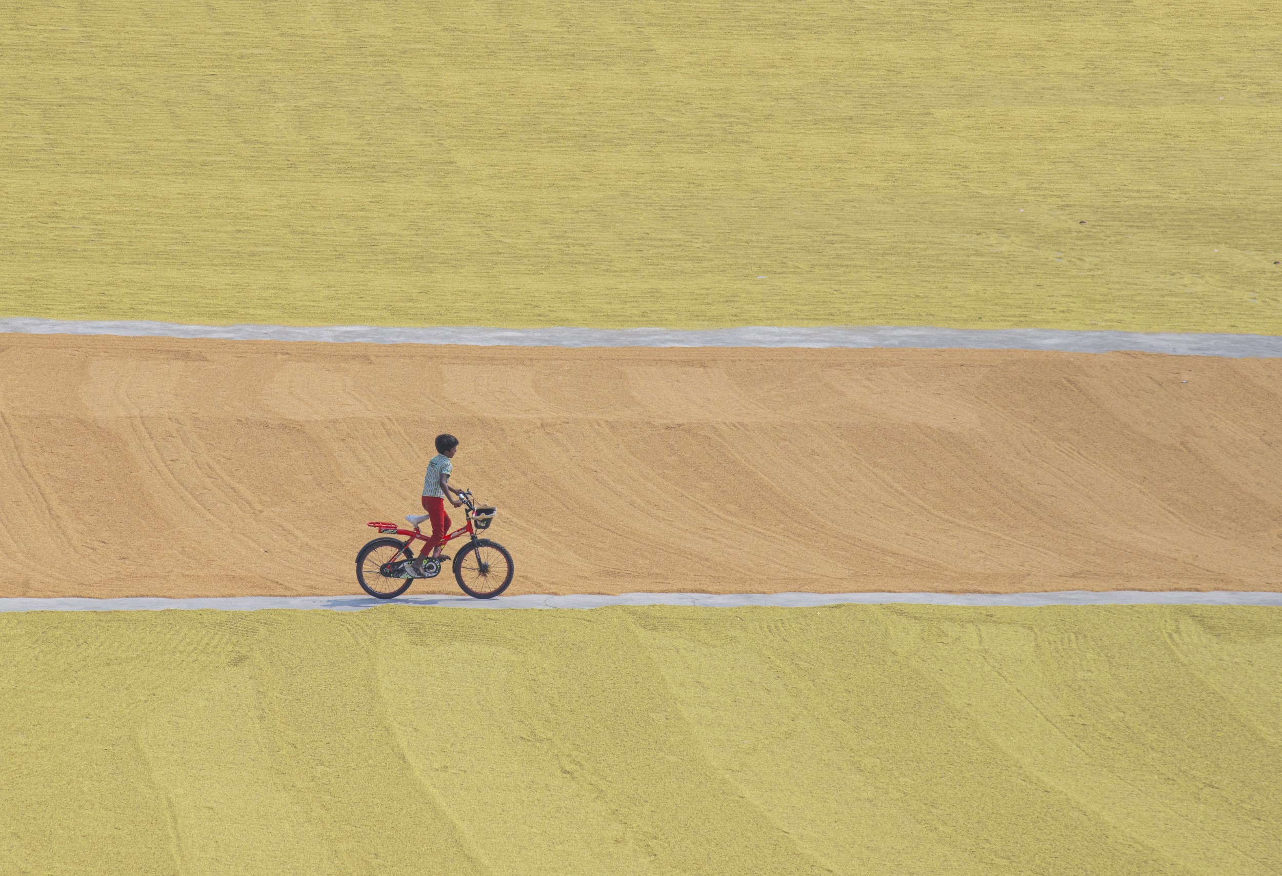 Manab Saha - Photo 2