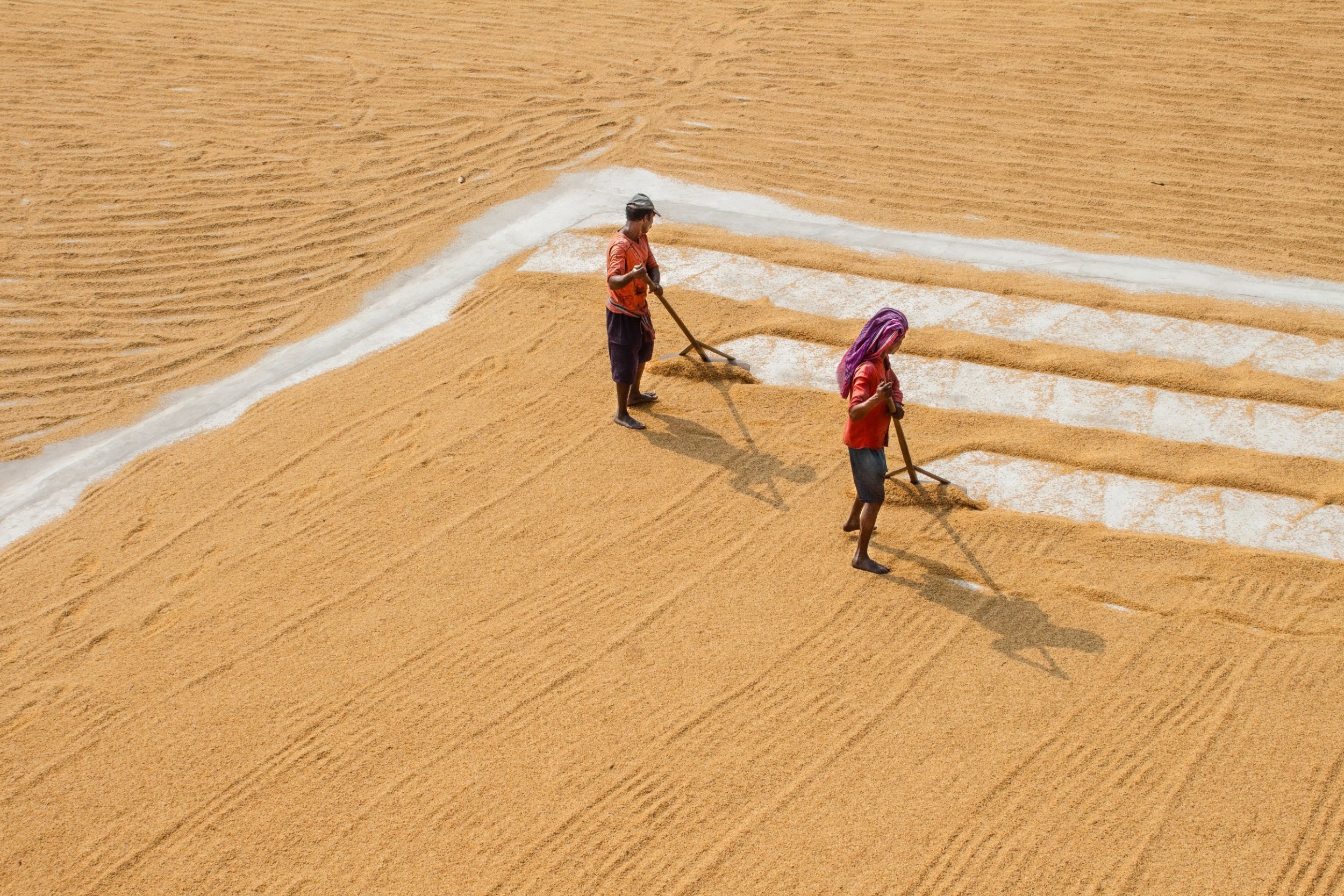 Manab Saha - Photo 3