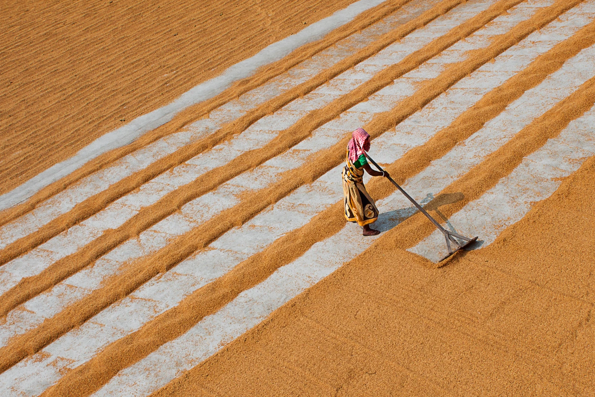 Manab Saha - Photo 5