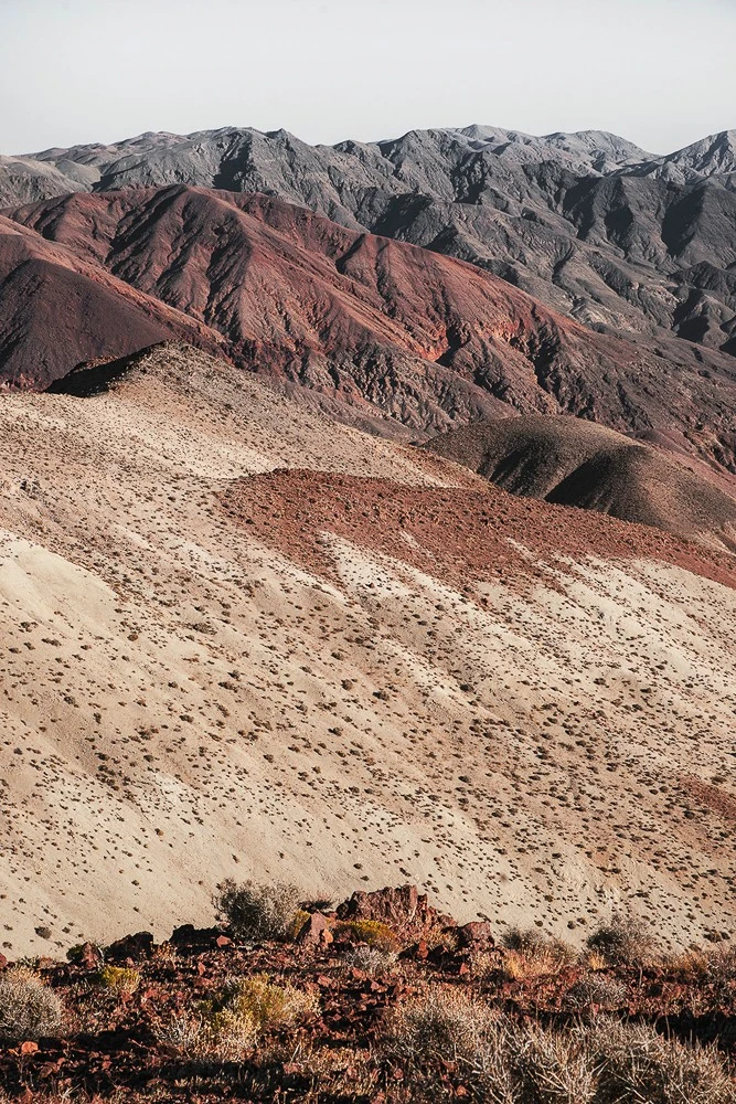 Marc Haldemann - Photo 4