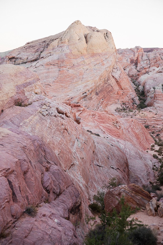 Marc Haldemann - Photo 5