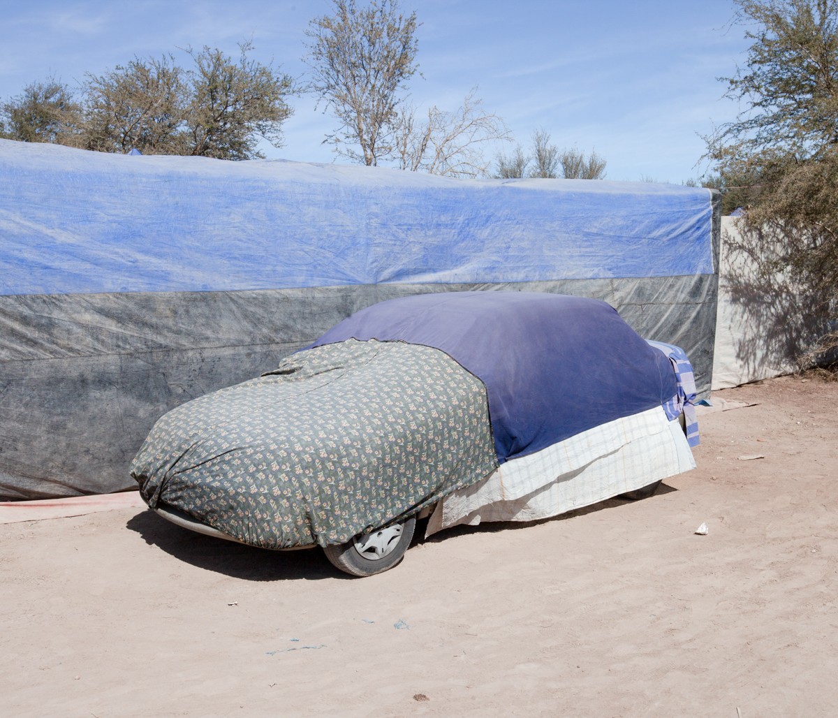 Marcos Zegers - Photo 6