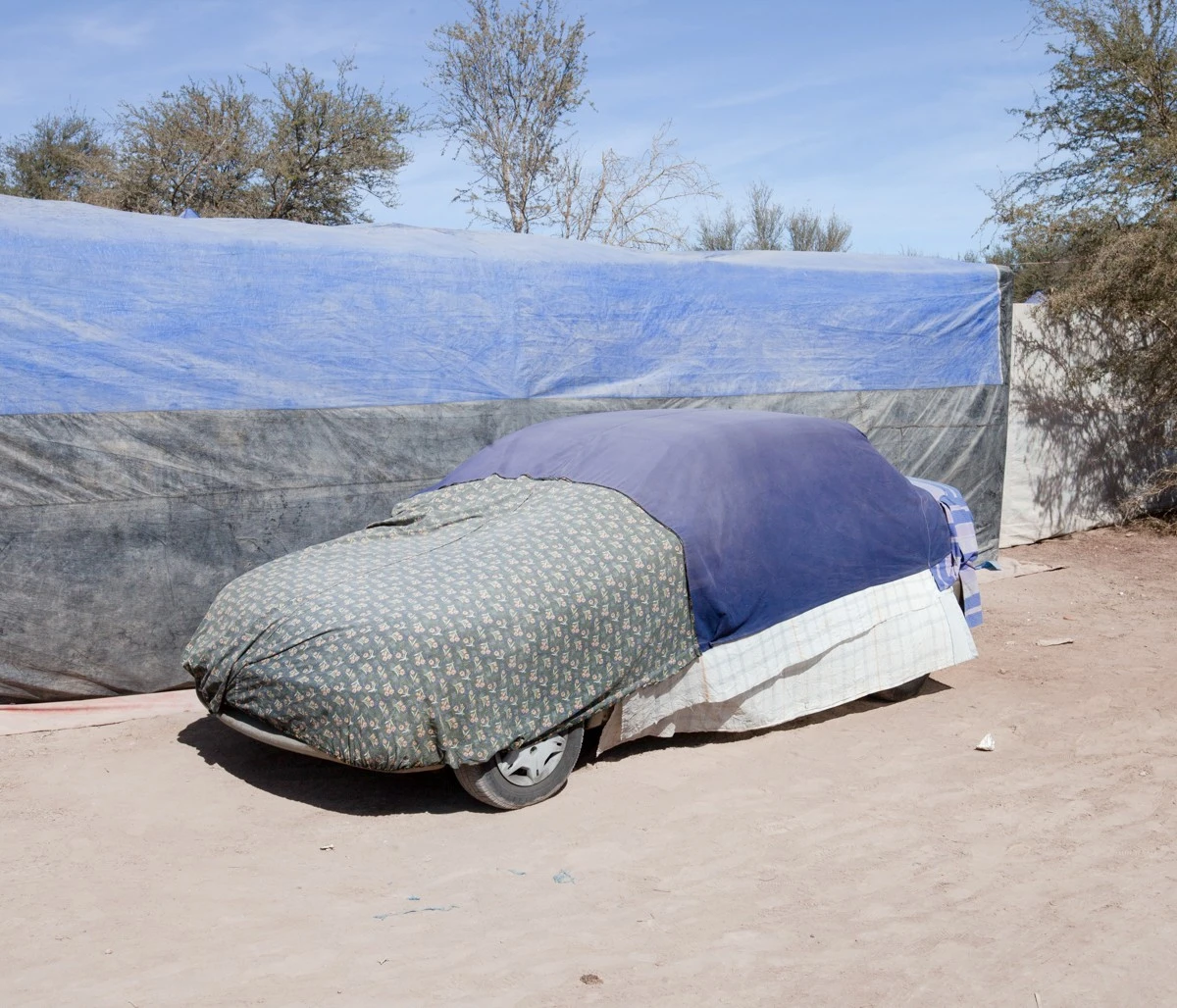 Marcos Zegers - Photo 6