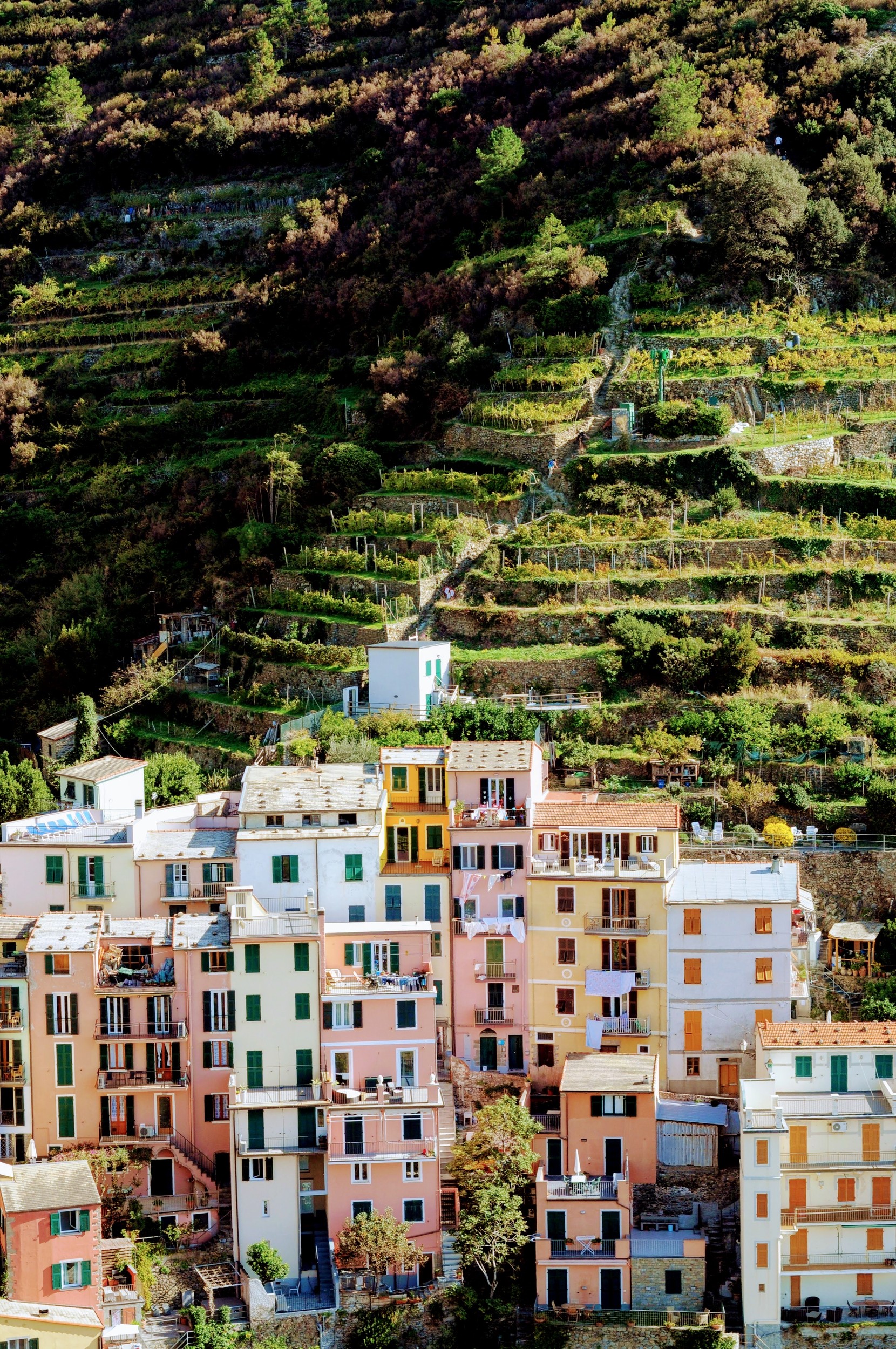 Mariclare Spooner - Photo 3