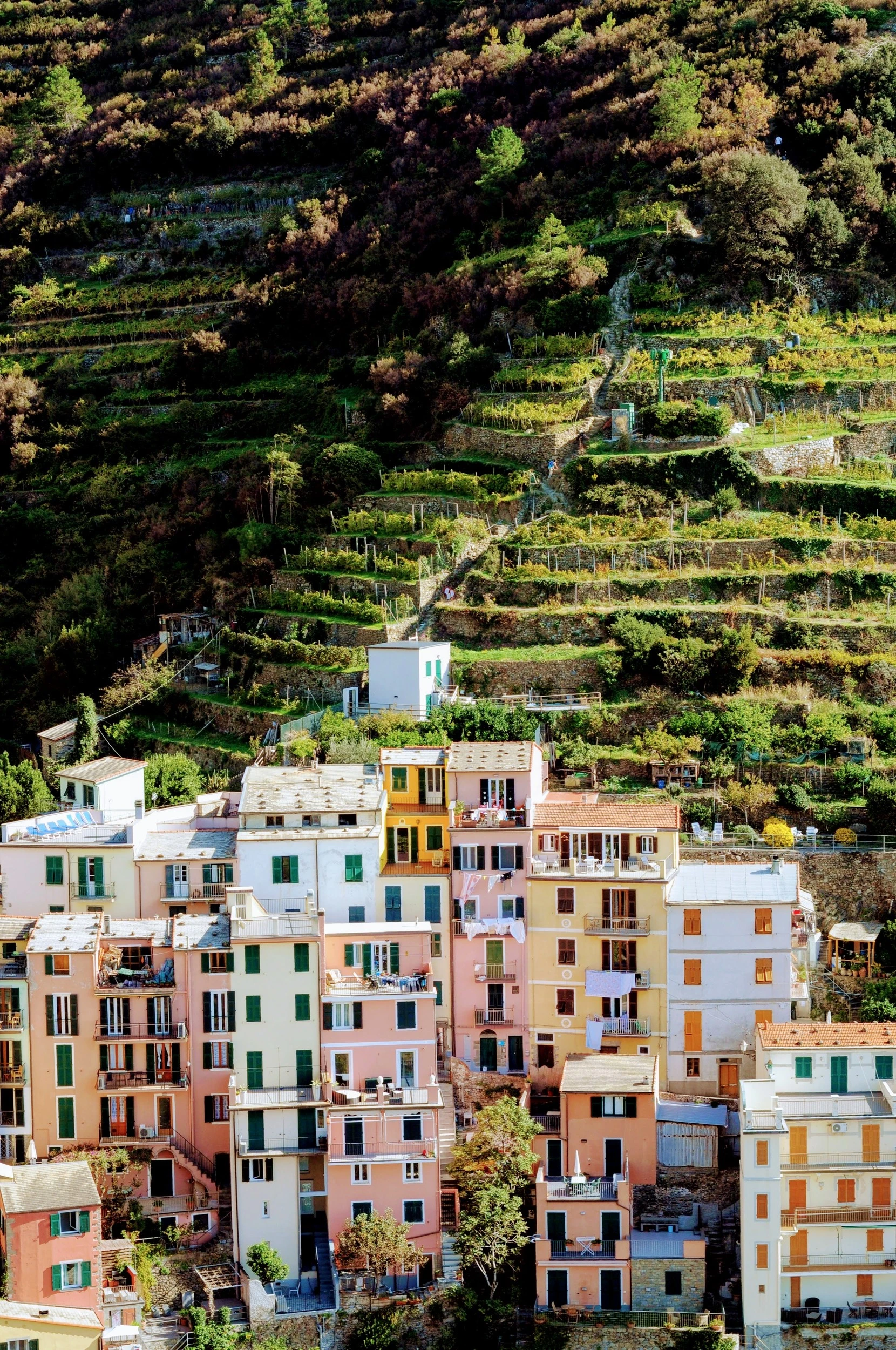 Mariclare Spooner - Photo 3