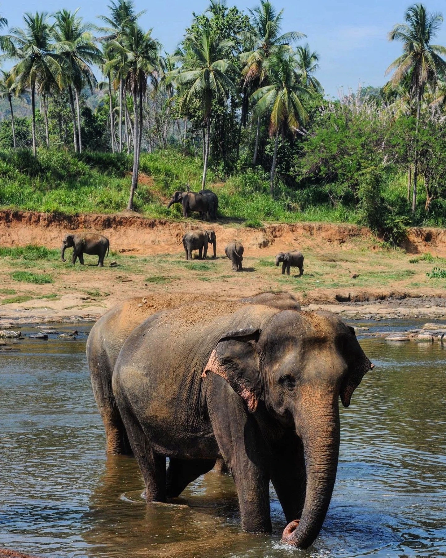 Mariclare Spooner - Photo 4