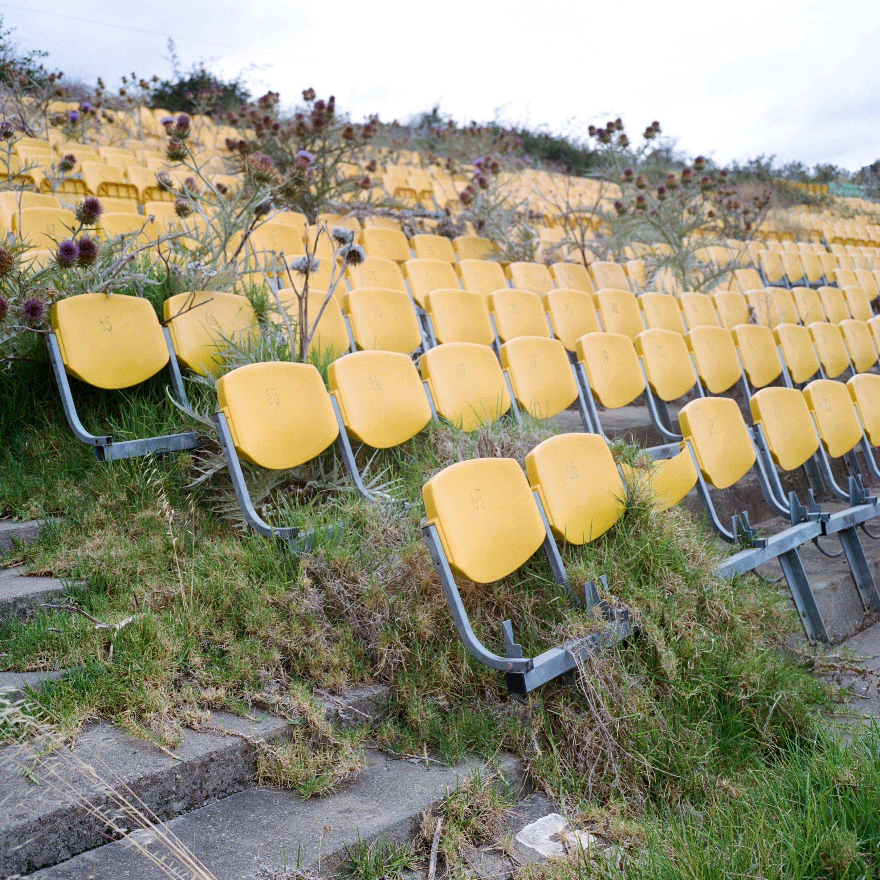 Mark Forbes - Photo 3