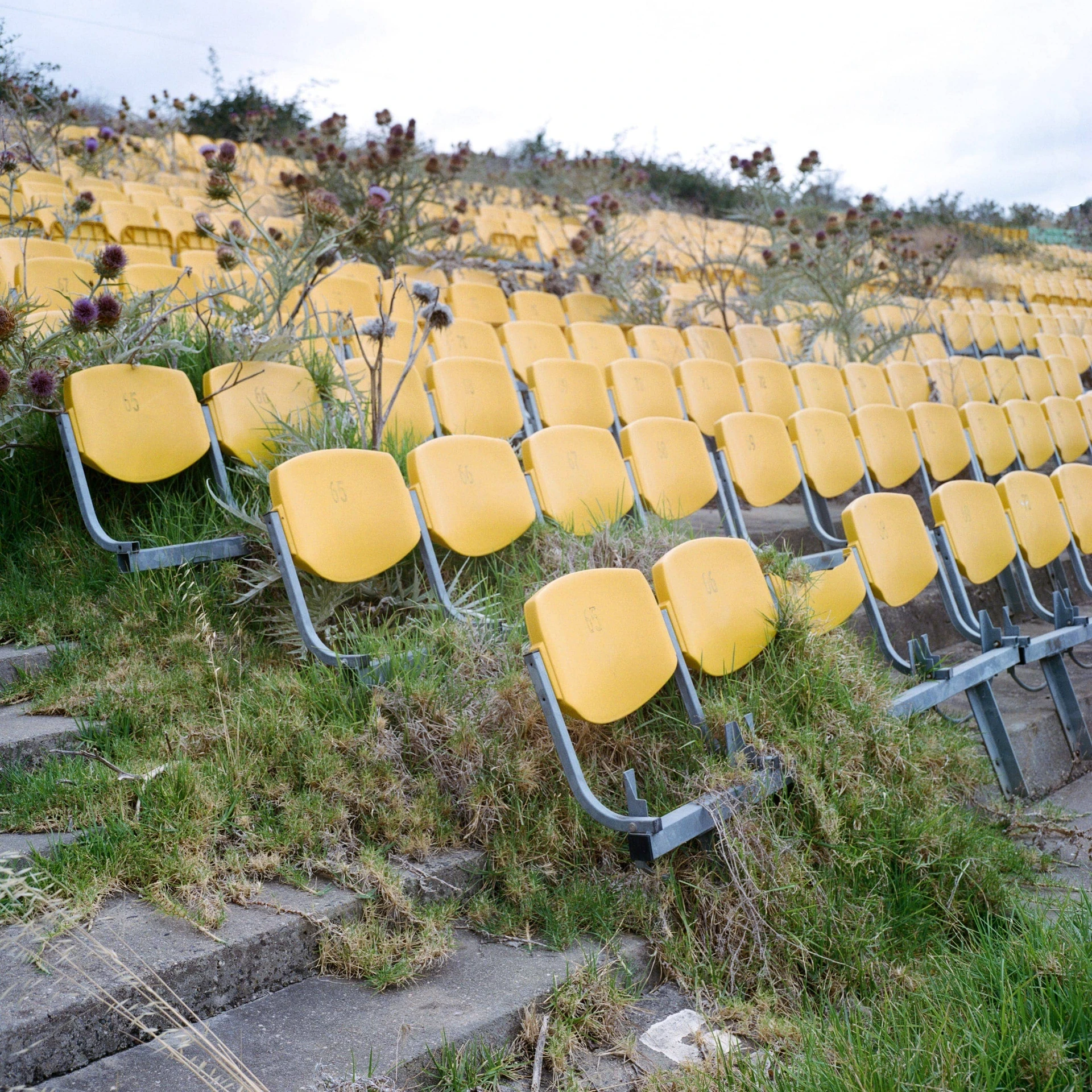 Mark Forbes - Photo 3