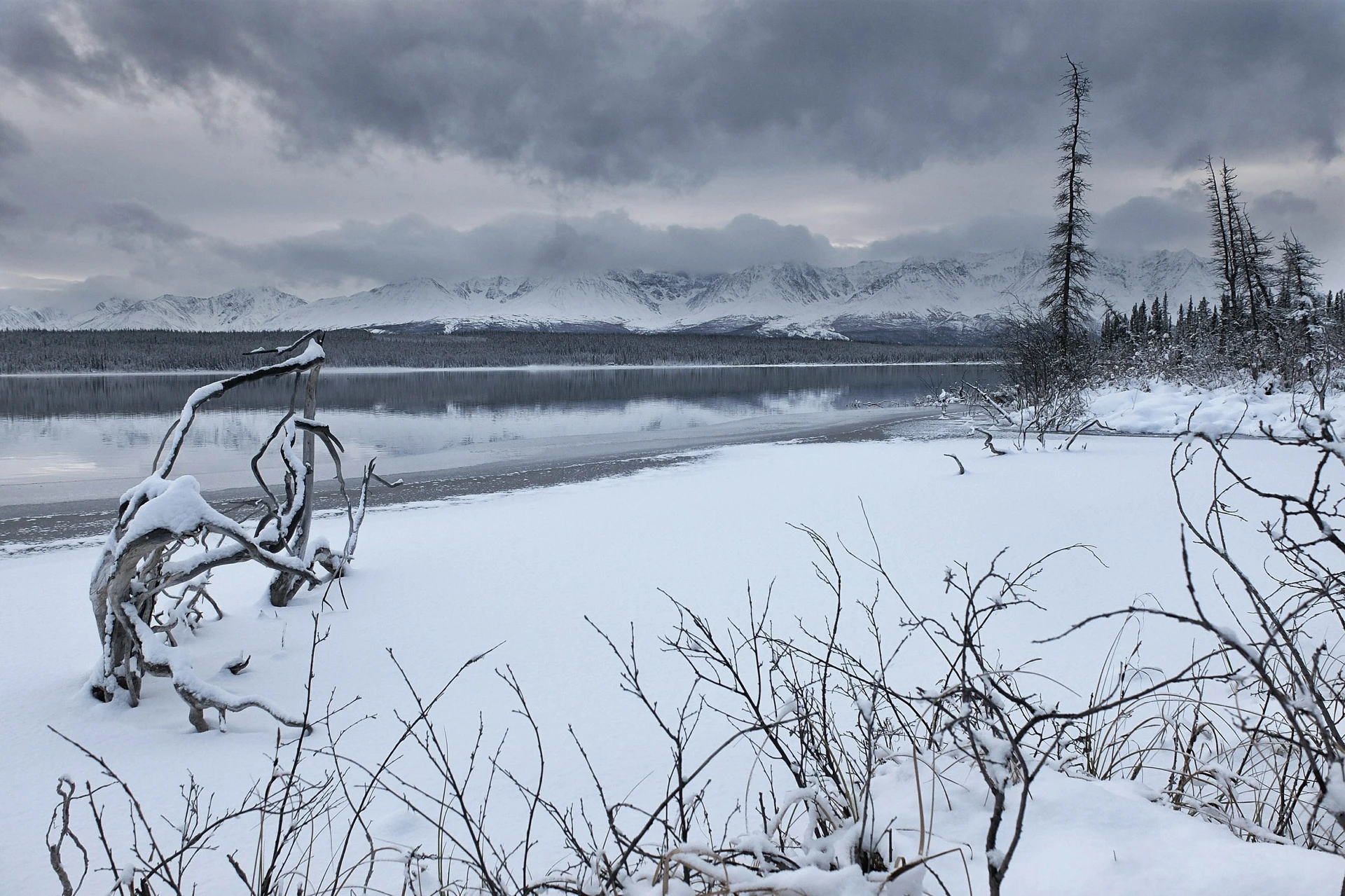 Marty Samis - Photo 3