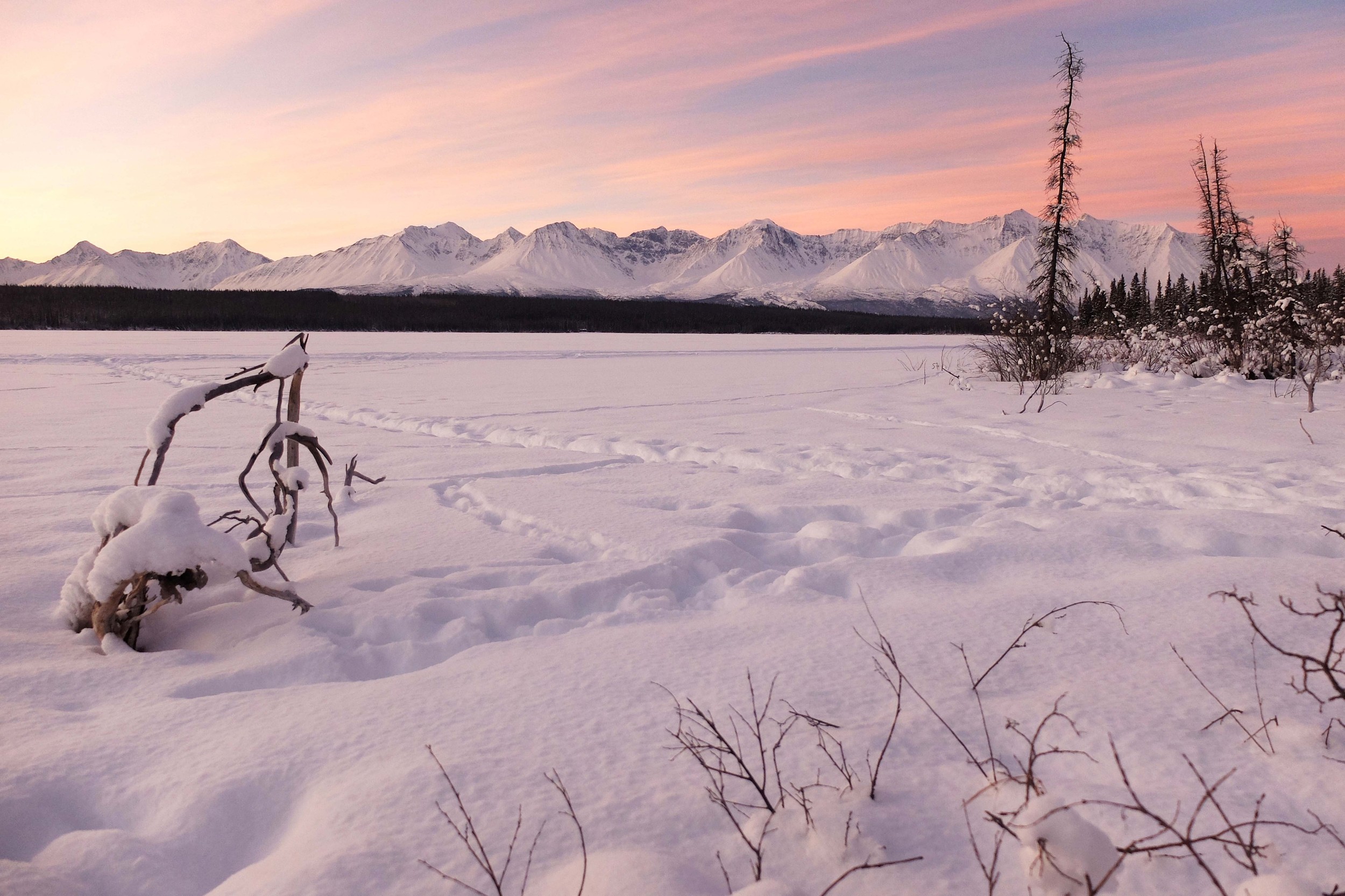 Marty Samis - Photo 5