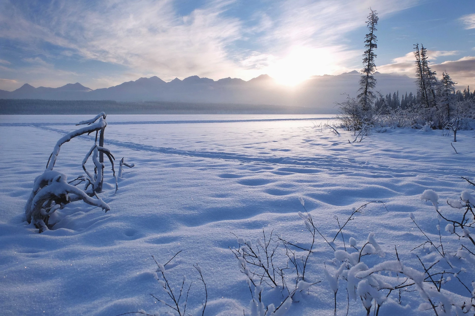 Marty Samis - Photo 6