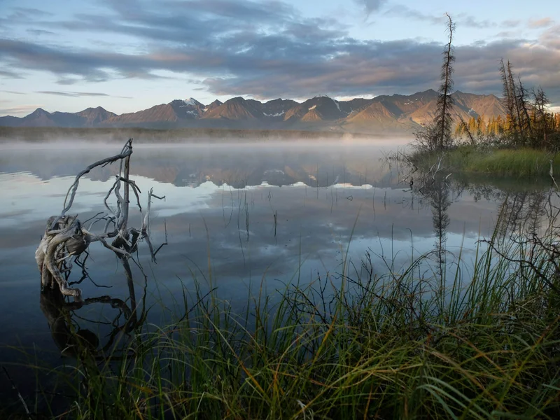 Marty Samis - Photo 1