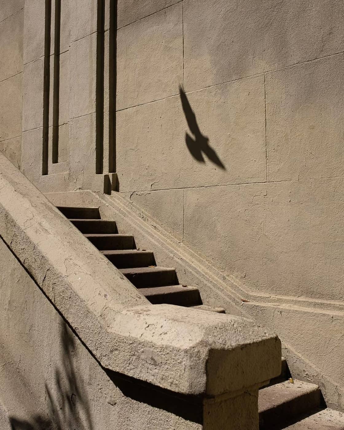 Matheus Bonafé - Photo 1