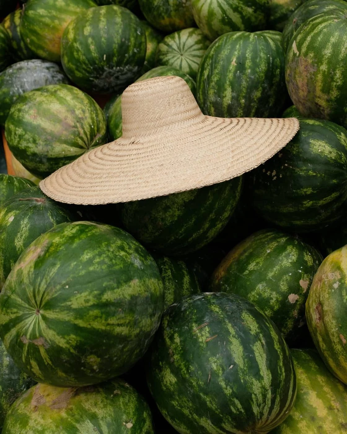 Matheus Bonafé - Photo 5