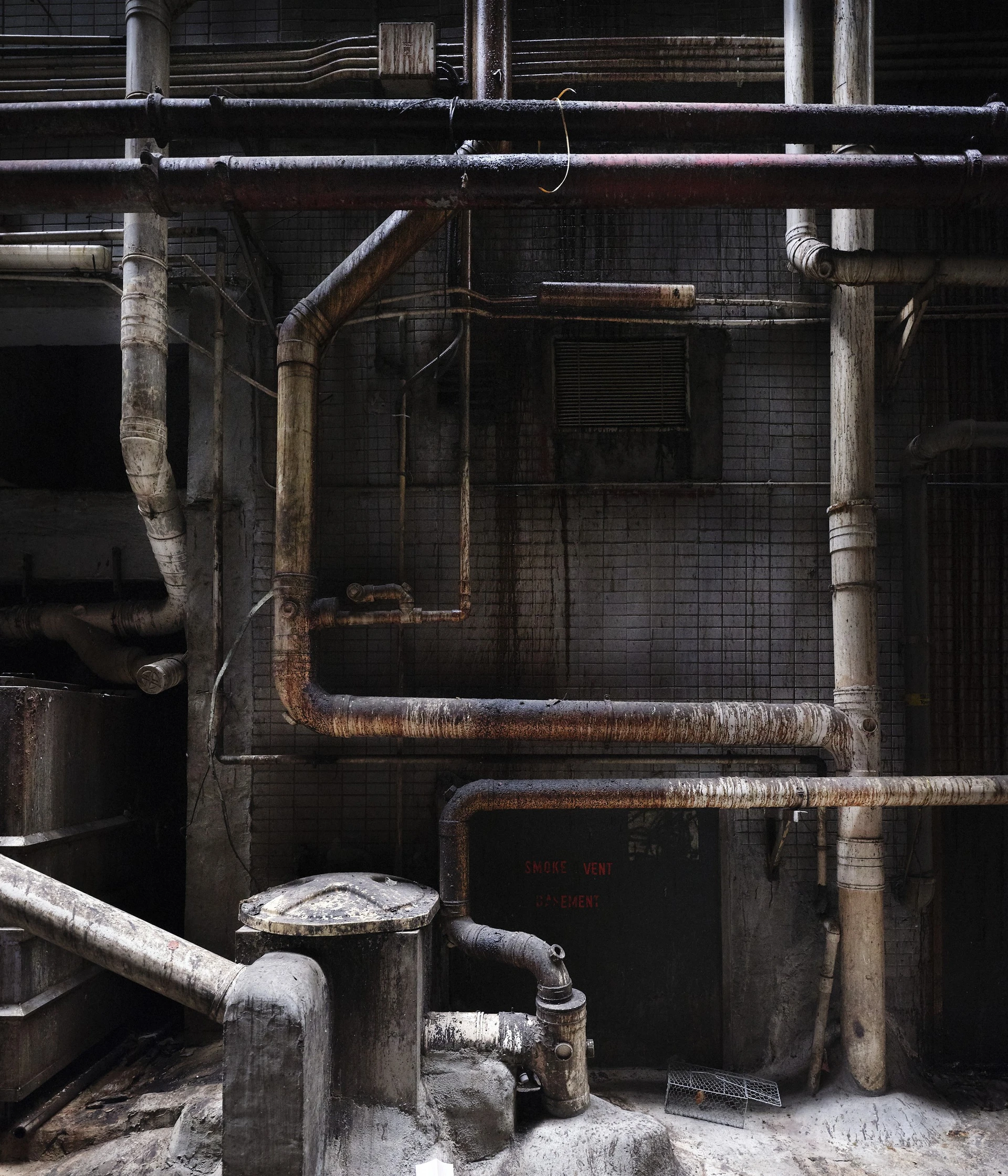 Matthias Forster - Photo 4