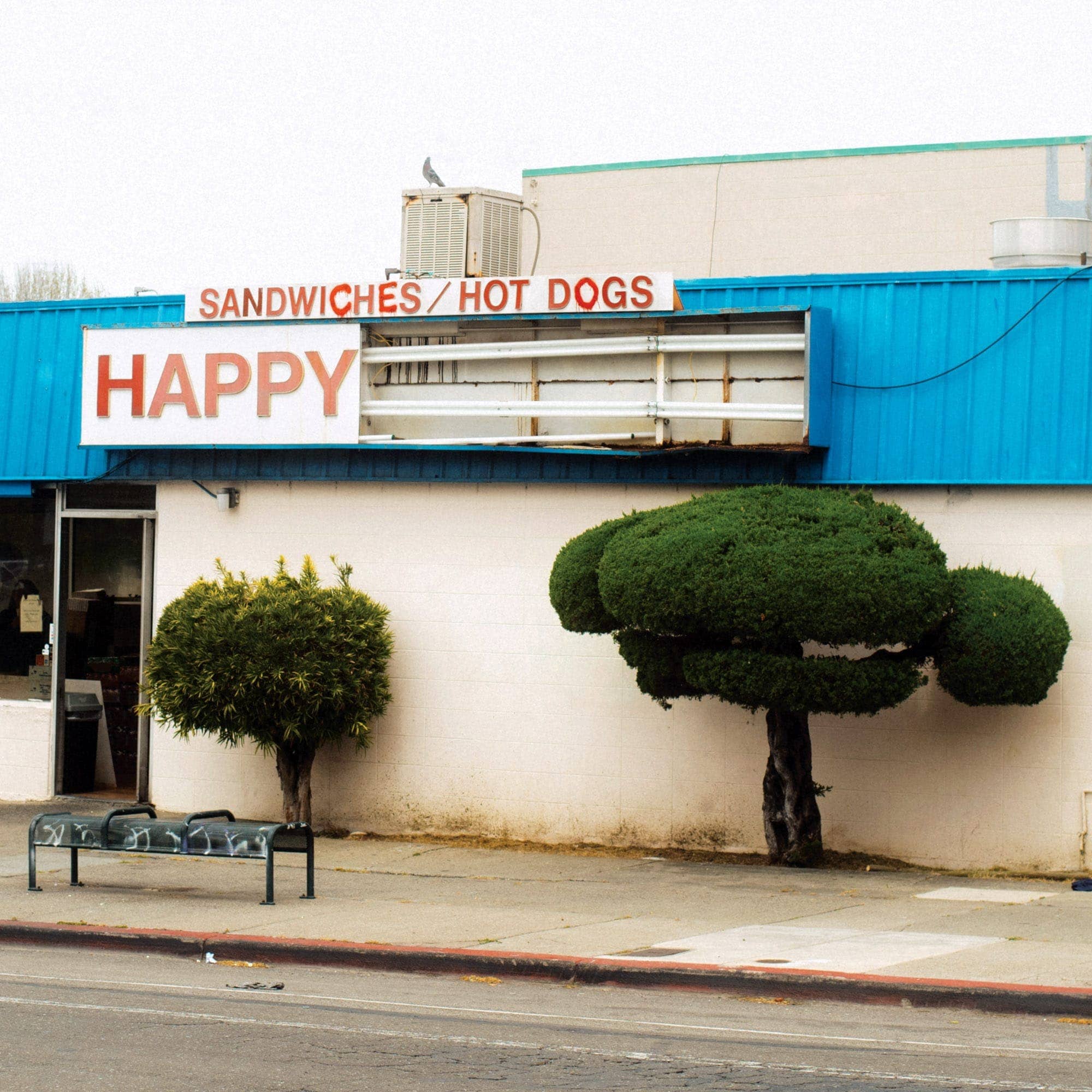 Max Knight - Photo 4