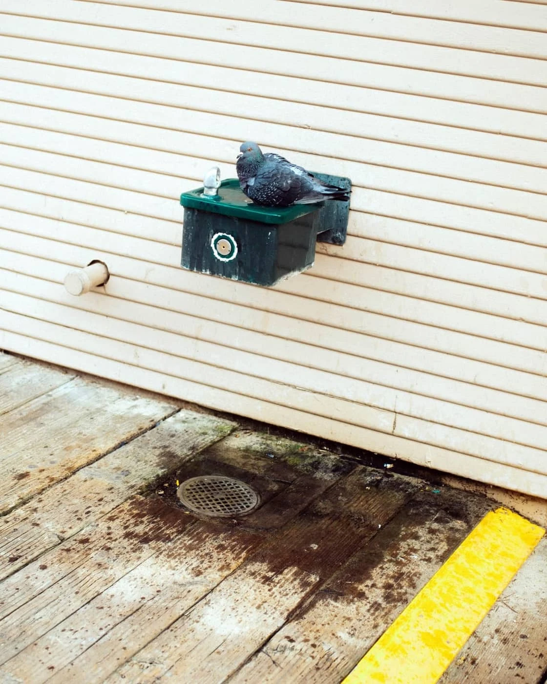 Max Knight - Photo 5