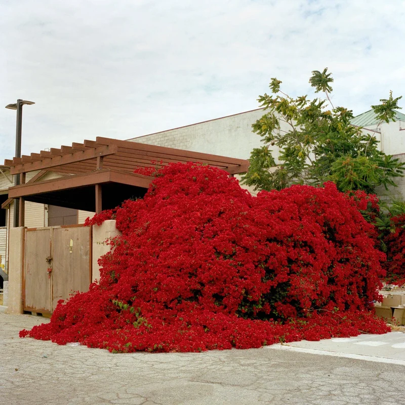 Max Knight - Photo 1