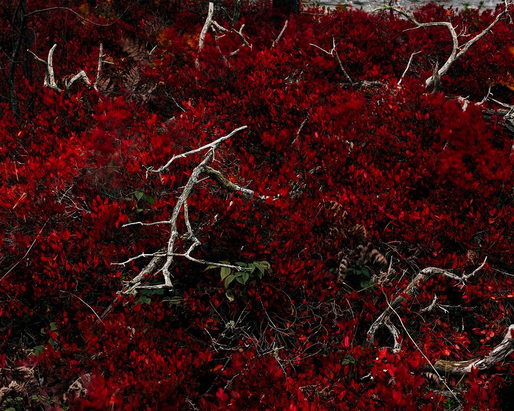 Michael Zuhorski - Photo 5