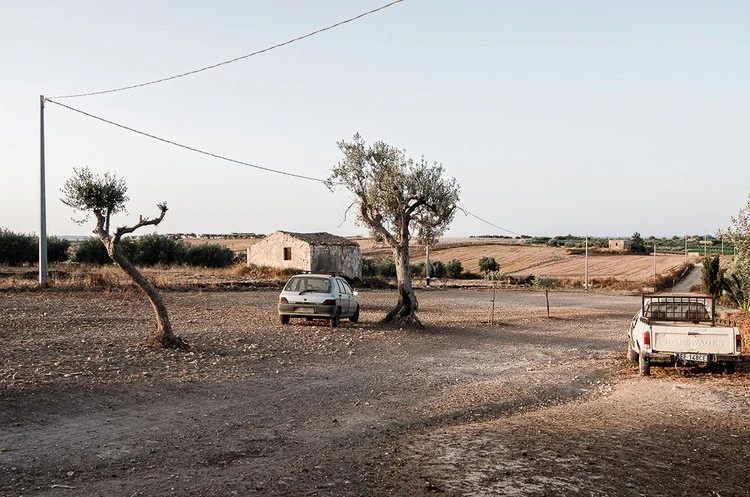 Michele Vittori - Photo 5