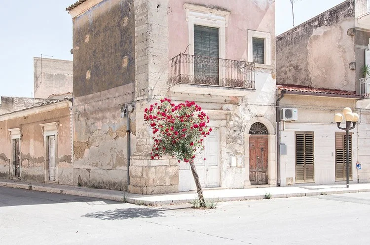 Michele Vittori - Photo 1