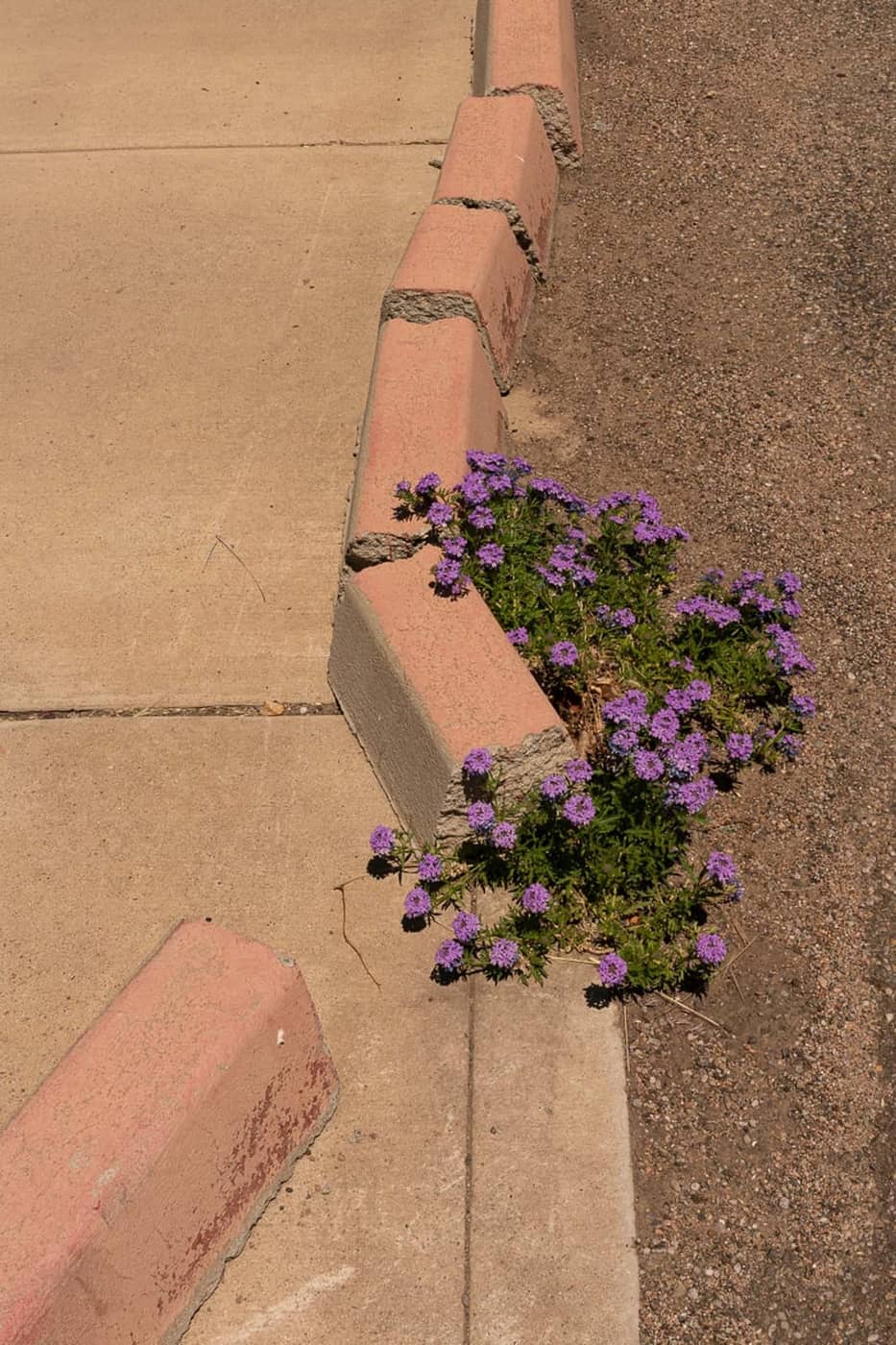 Natalie Christensen - Photo 3