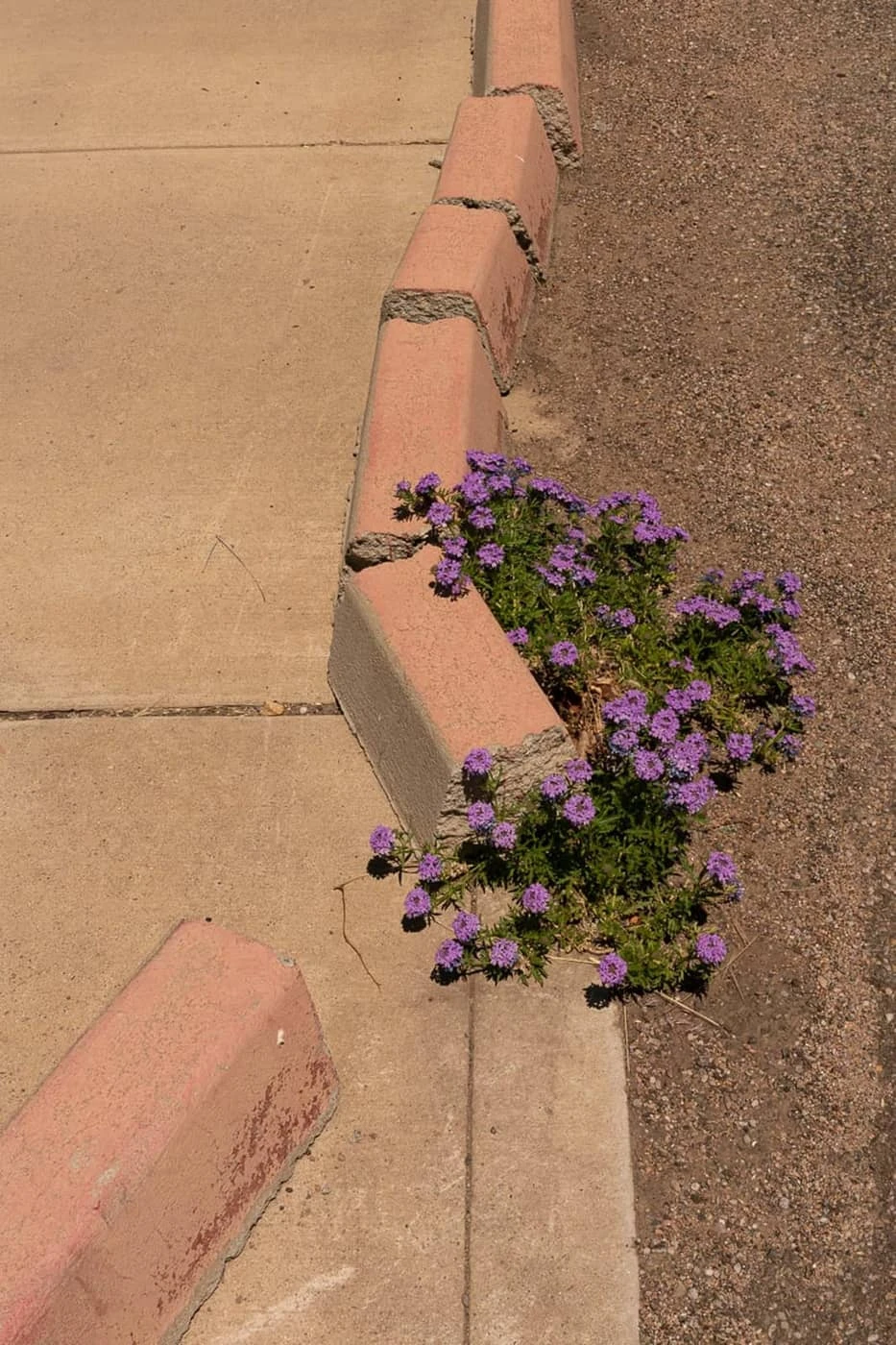 Natalie Christensen - Photo 3