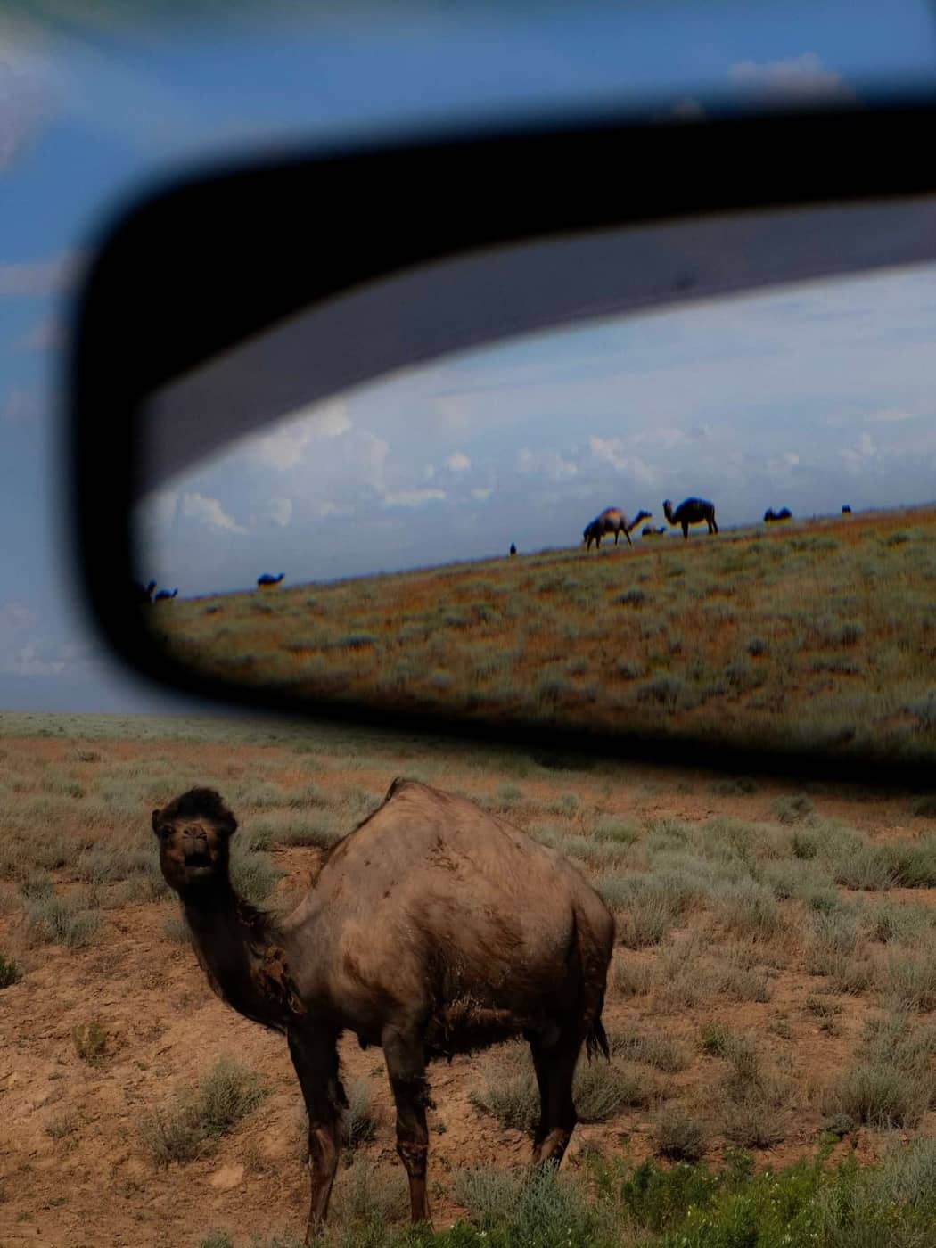 Niccolò Barca - Photo 1