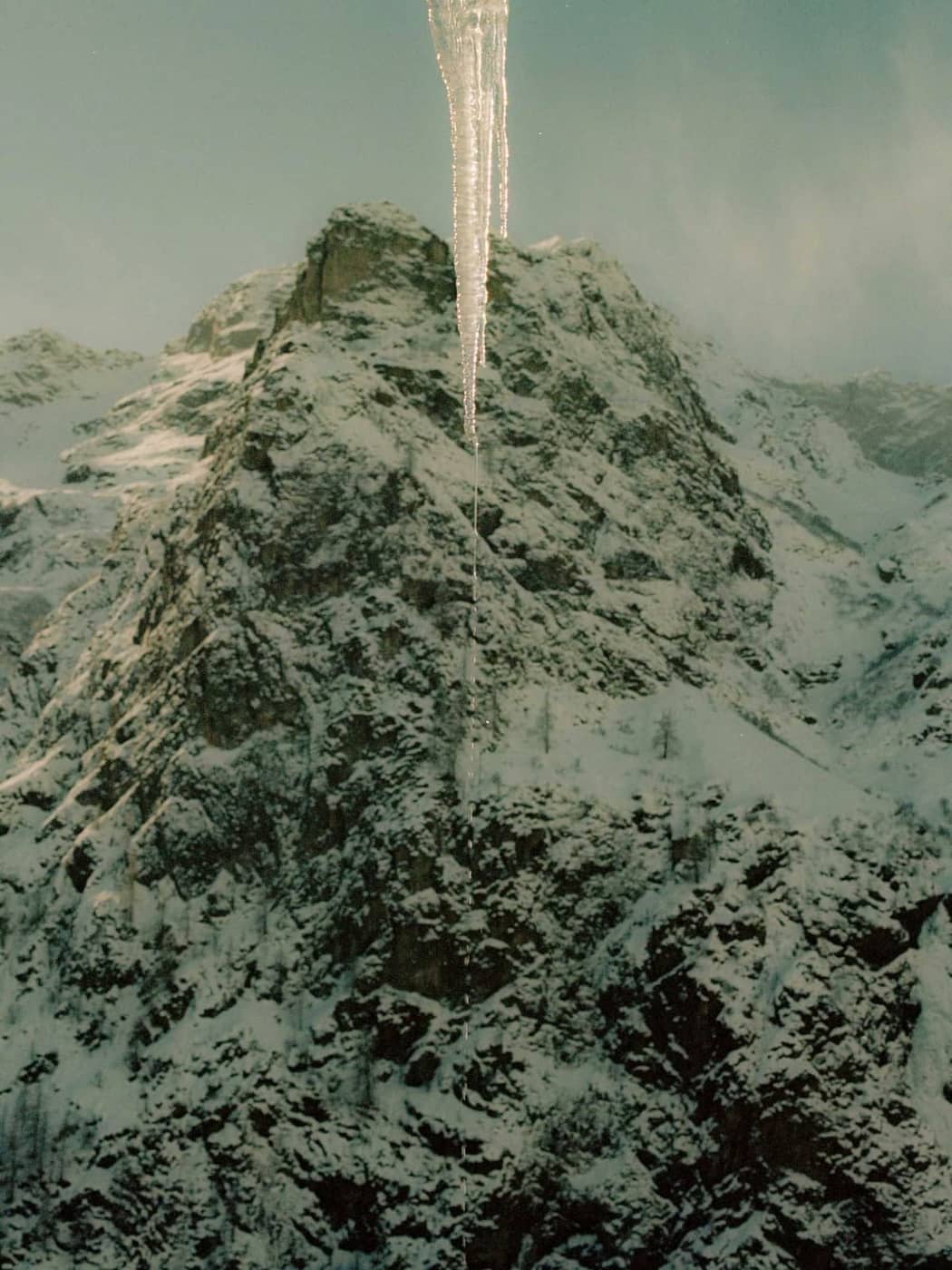 Niccolò Barca - Photo 6