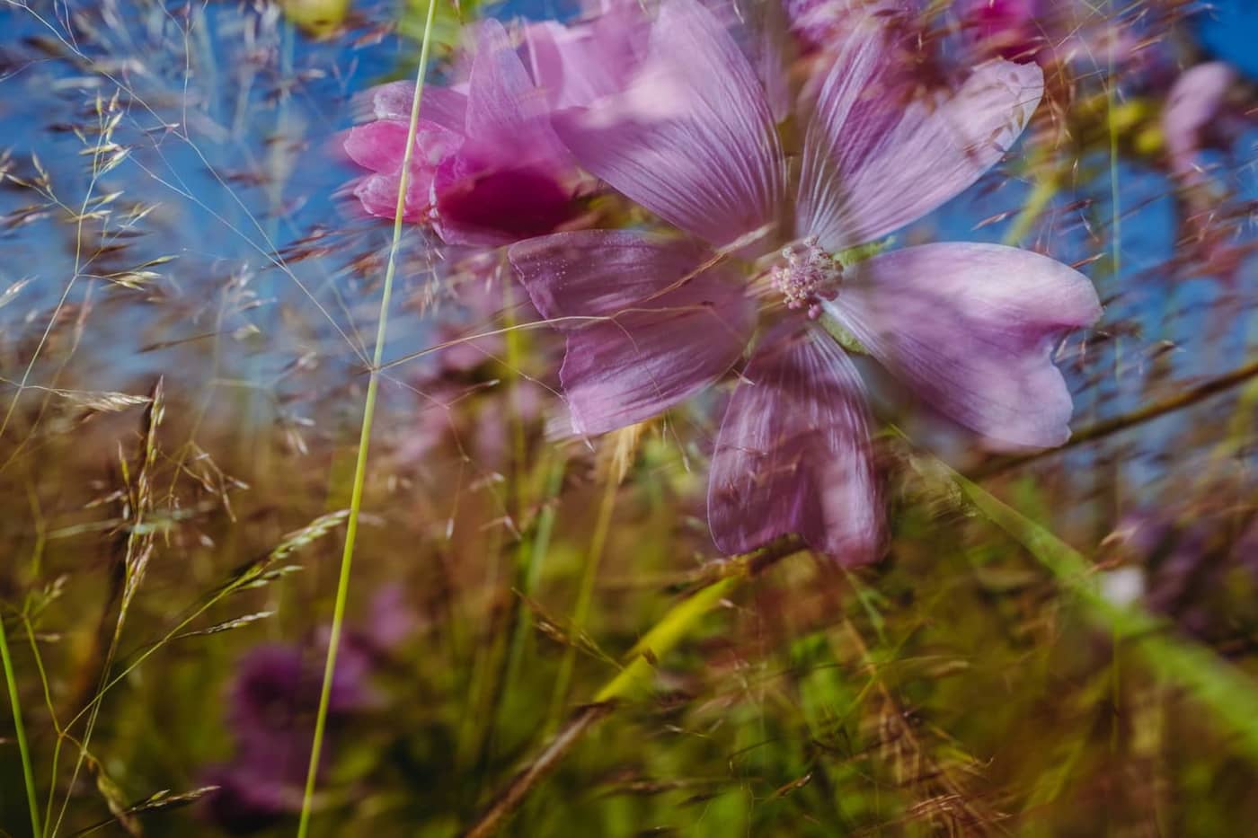 Oana Baković - Photo 1