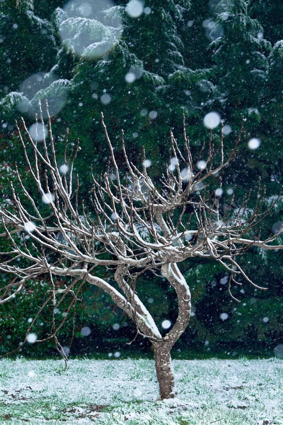 Olivier Cuvelette - Photo 2